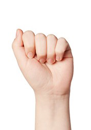 Pronated full fist
